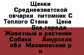 Щенки Среднеазиатской овчарки (питомник С Теплого Стана) › Цена ­ 20 000 - Все города Животные и растения » Собаки   . Амурская обл.,Мазановский р-н